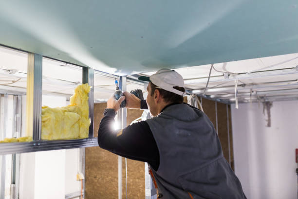 Best DIY Insulation Kits and Guidance in Applewood, CO