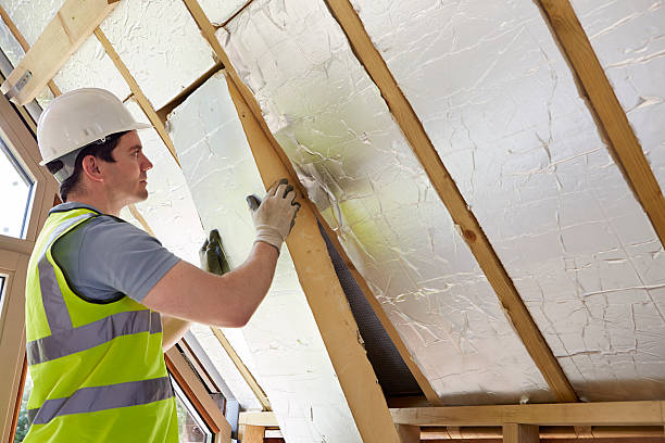 Best Specialized Insulation Services in Applewood, CO